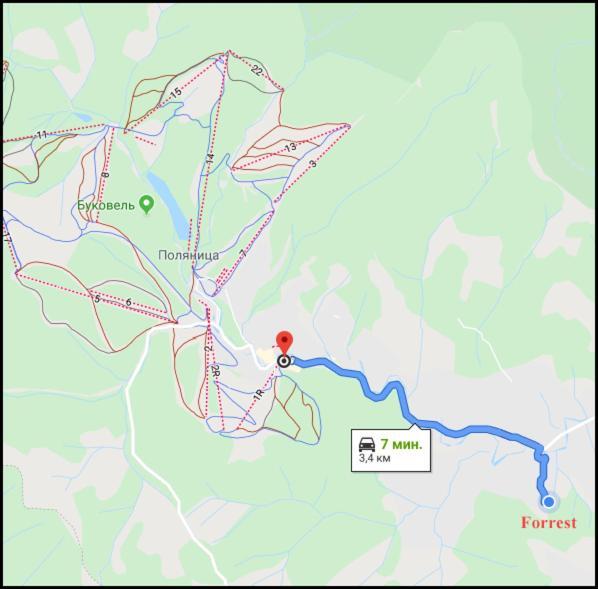 Forrest Hotel Bukovel Ngoại thất bức ảnh